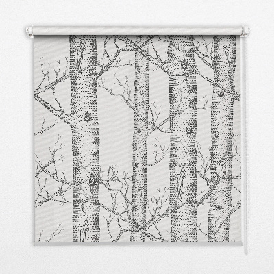 Roller blind for large window Trunks