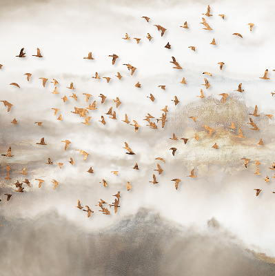 Roller blind for large window A flock of birds