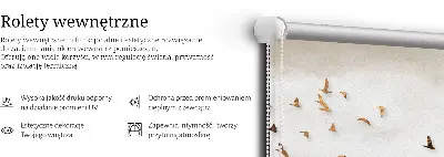 Roller blind for large window A flock of birds design