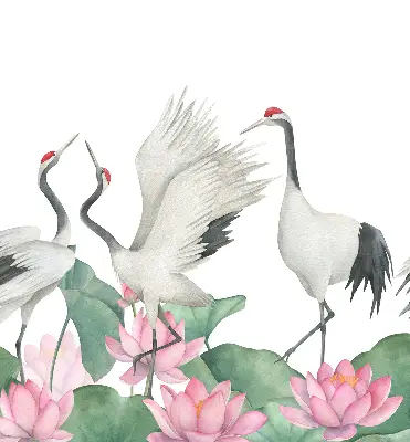 Modern roller blind with Cranes in the lilies print