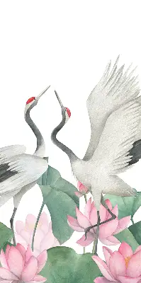 Modern roller blind with Cranes in the lilies print
