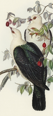 Roller blind for large window Birds on a branch