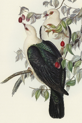 Roller blind for large window Birds on a branch