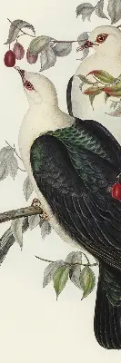 Roller blind for large window birds on a branch pattern