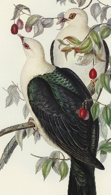 Roller blind for large window Birds on a branch