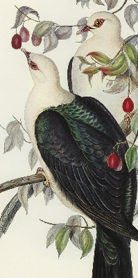 Roller blind for large window Birds on a branch