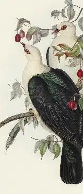 Roller blind for large window birds on a branch pattern