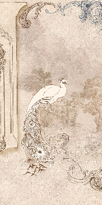 Modern roller blind Vintage birds