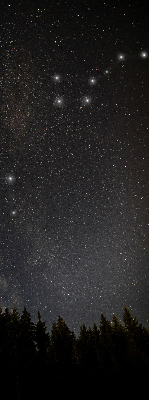 Modern roller blind Stars in the sky
