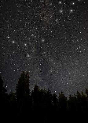 Modern roller blind Stars in the sky