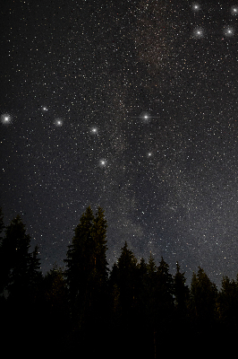 Modern roller blind Stars in the sky
