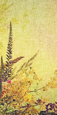 Roller blind for large windows