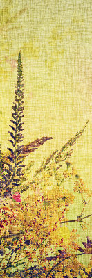 Roller blind for large window Plants