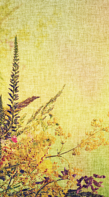 Roller blind for large window Plants