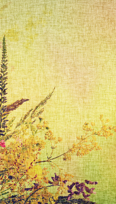 Roller blind for large window Plants