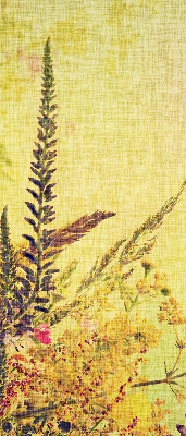 Roller blind for large window Plants