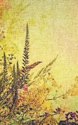 Roller blind for large windows