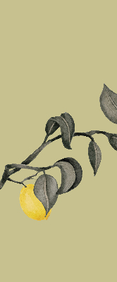 Fabric roller blind Lemons on the tree