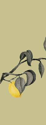 Fabric roller blind Lemons on the tree
