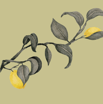 Fabric roller blind Lemons on the tree