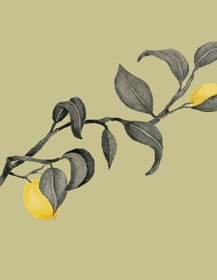 Fabric roller blind Lemons on the tree