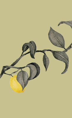 Fabric roller blind Lemons on the tree