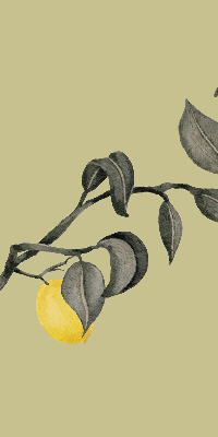 Fabric roller blind Lemons on the tree