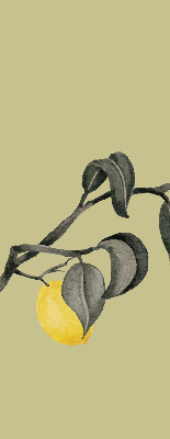 Fabric roller blind Lemons on the tree