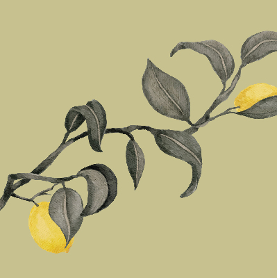 Fabric roller blind Lemons on the tree