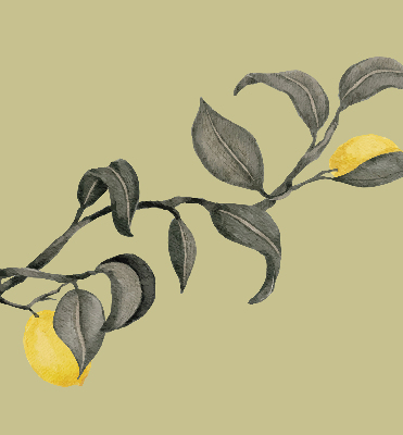 Fabric roller blind Lemons on the tree