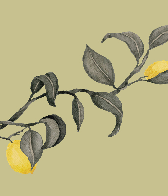 Fabric roller blind Lemons on the tree
