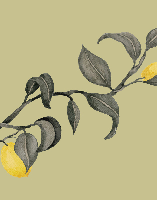Fabric roller blind Lemons on the tree