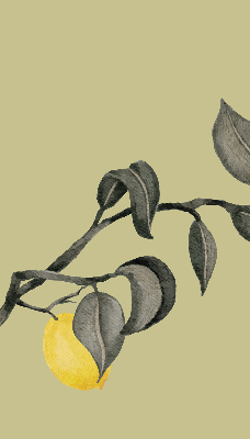 Fabric roller blind Lemons on the tree