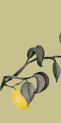 Fabric roller blind Lemons on the tree