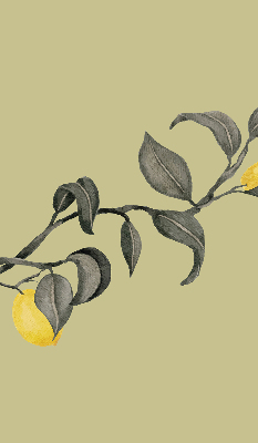 Fabric roller blind Lemons on the tree