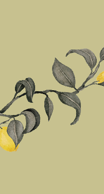 Fabric roller blind Lemons on the tree