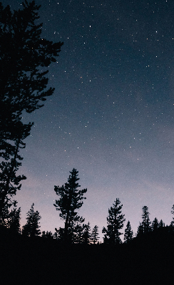 Roller blind for large window Starry sky