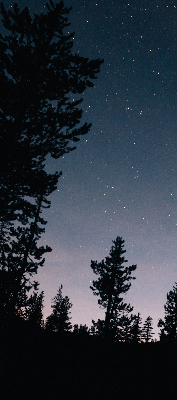 Roller blind for large window Starry sky