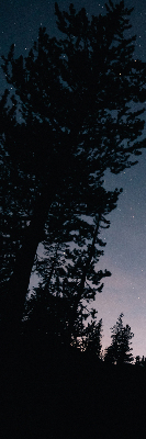 Roller blind for large window Starry sky