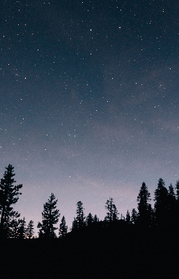 Roller blind for large window Starry sky