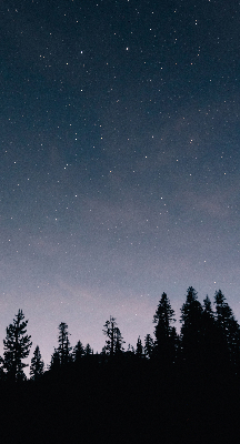 Roller blind for large window Starry sky
