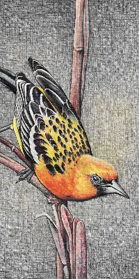 Fabric roller blind with a bird on a branch print