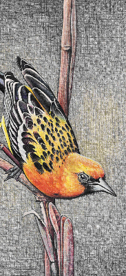 Fabric roller blind A bird on a branch