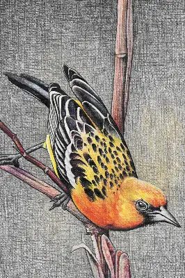 Fabric roller blind with a bird on a branch print
