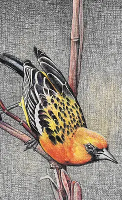 Fabric roller blind with a bird on a branch print