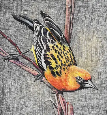 Fabric roller blind with a bird on a branch print