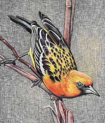 Fabric roller blind with a bird on a branch print