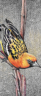 Fabric roller blind A bird on a branch