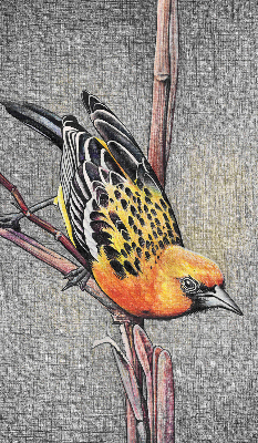 Fabric roller blind A bird on a branch