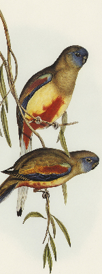 Fabric roller blind Two birds on a branch
